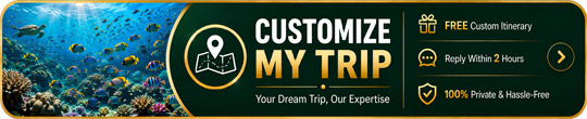 Customize my trip