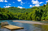 Bamboo Rafting