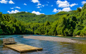 Bamboo Rafting
