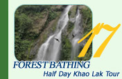 Forest Bathing Half Day Khao Lak Tour