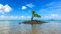 Koh Khai Hua Roa