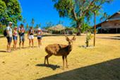 Koh Kradat Koh Kradat