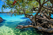 Koh Kham Koh Kham