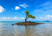 Koh Khai Hua Roh Koh Khai Hua Roh