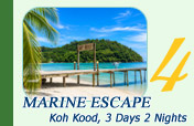 Koh Kood Marine Escape 3 Days 2 Nights