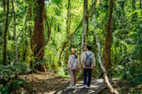 Jungle Trail