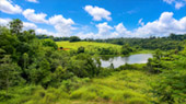 Nong Phak Chi Wildlife Observation Tower
