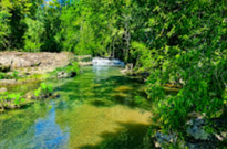Jungle Walk in UNESCO World Heritage Site
