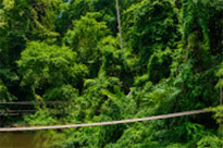 Fun Jungle Trails and Museum