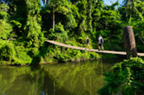 Fun Jungle Trails and Museum