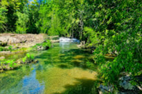 Fun Jungle Trails and Museum