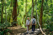 Fun Jungle Trails and Museum