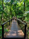 Fun Jungle Trails and Museum