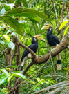 Fun Jungle Trails and Museum