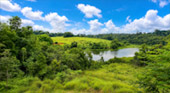 Nong Phak Chi Wildlife Observation Tower