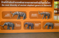 Korat Geo Park