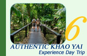 The Authentic Khao Yai Experience Day Trip