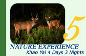 Khao Yai 4 Days 3 Nights - Nature Experience