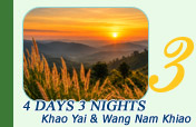 Khao Yai and Wang Nam Khiao 4 Days 3 Nights