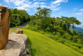 Forest Road