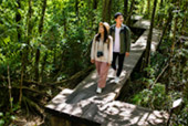 Pha Diao Dai Viewpoint