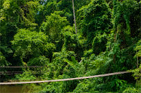 Khao Yai Fun Trails and Museum