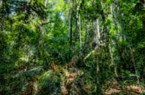 Khao Yai Fun Trails and Museum