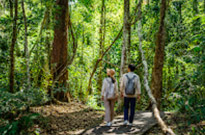 Khao Yai Fun Trails and Museum
