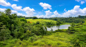 Nong Phak Chi Wildlife Observation Tower
