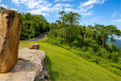 Forest Road