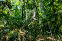 Fun Nature Trails and Musuem
