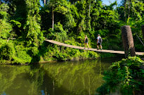 Fun Nature Trails and Musuem
