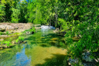 Fun Nature Trails and Musuem