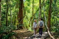 Fun Nature Trails and Musuem
