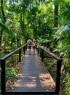 Fun Nature Trails and Musuem