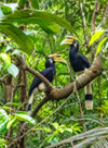 Fun Nature Trails and Musuem