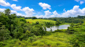 Nong Phak Chi Wildlife Observation Tower