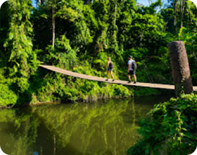 The Authentic Khao Yai Experience Day Trip