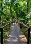 Jungle Short Trail