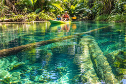 Khlong Root, Krabi