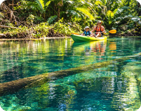 Clear Canal Kayaking Clear Canal Kayaking