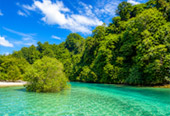 Relaxation Swimming and Shore Snorkeling