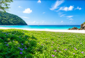 Relaxation Swimming and Shore Snorkeling