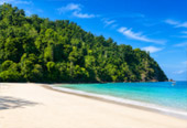 Relaxation Swimming and Shore Snorkeling