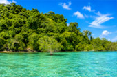 Snorkeling and Beach Activities