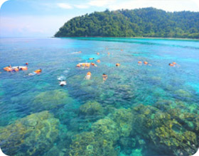 Surin Island Private Speed Boat Charter