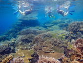 Surin Island Private Speed Boat Charter