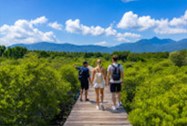Salak Phet  Mangrove