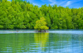 Salak Khok Kayaking or Gondola