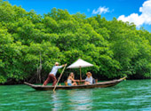 Salak Khok Gondola